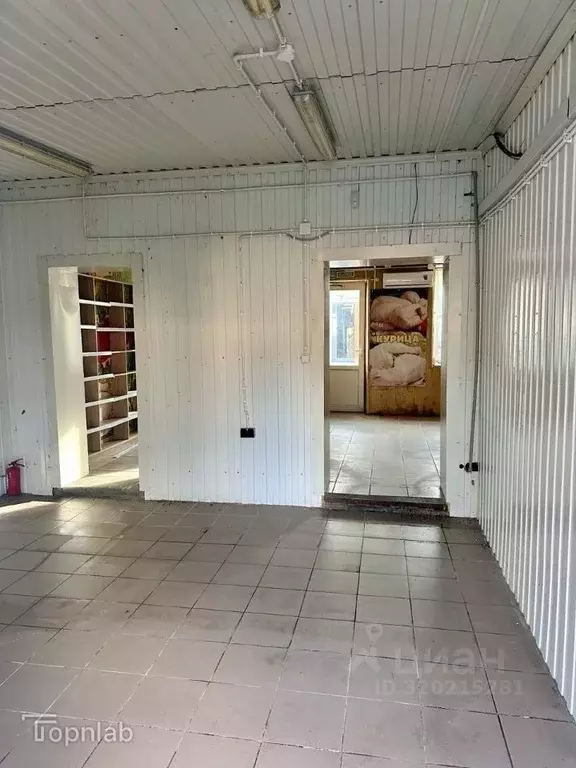 Торговая площадь в Калининградская область, Светлый ул. Лизы Чайкиной ... - Фото 1