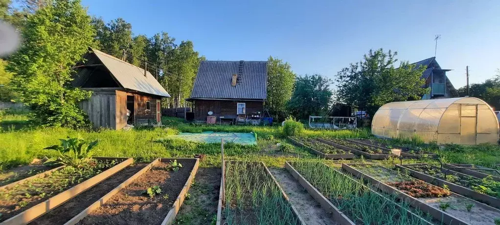 Дом в Красноярский край, Березовский район, Есаульский сельсовет, Маяк ... - Фото 0