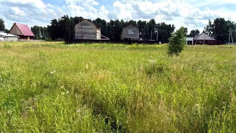 Участок в Новосибирская область, Коченевский район, с. Шагалово ... - Фото 2