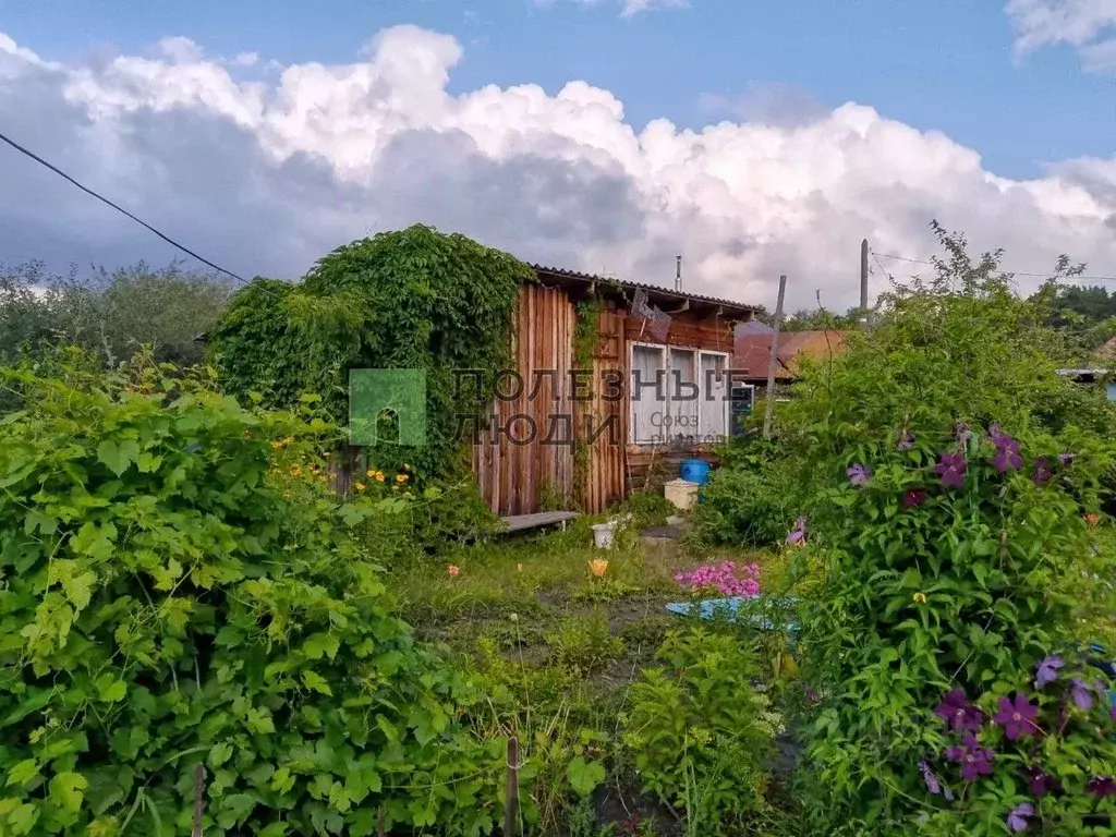 Дом в Курганская область, Кетовский муниципальный округ, Ромашка-Плюс ... - Фото 1