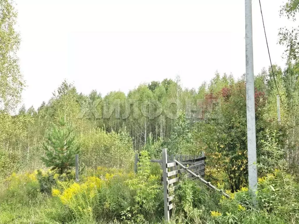 Участок в Новосибирская область, Новосибирск Зеленодолинская ул., ... - Фото 2