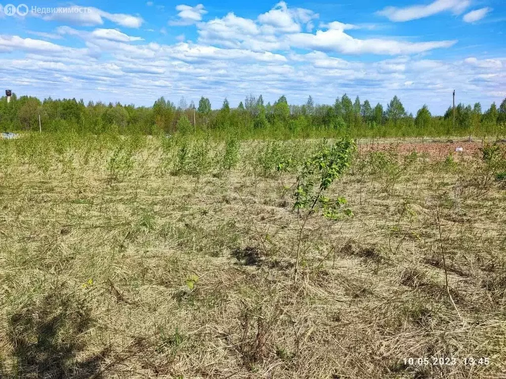 Участок в Красносельский район, Сидоровское сельское поселение (1342 ... - Фото 2