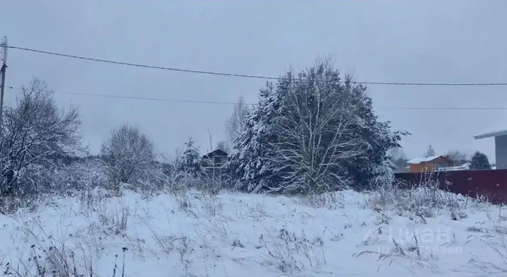 Участок в Московская область, Щелково городской округ, д. Дуброво ул. ... - Фото 0