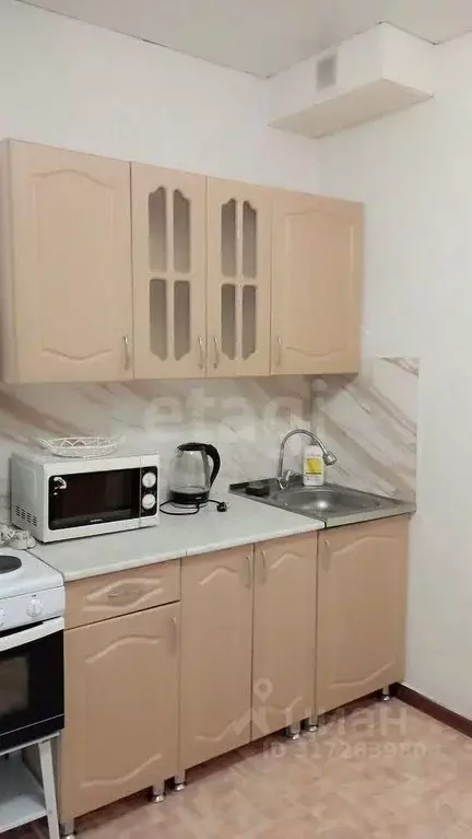 1-к кв. Алтай, Майминский район, с. Майма ул. Березовая роща (28.0 м) - Фото 1