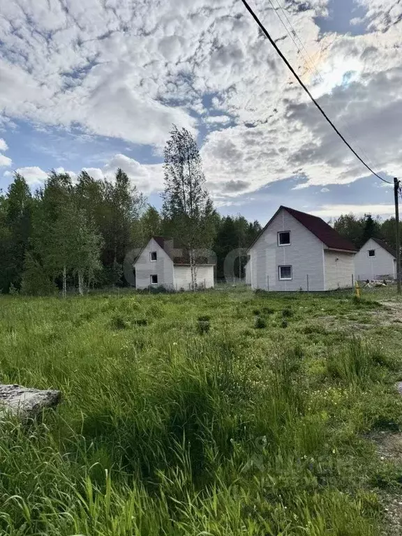 Участок в Ленинградская область, Гатчинский муниципальный округ, д. ... - Фото 1