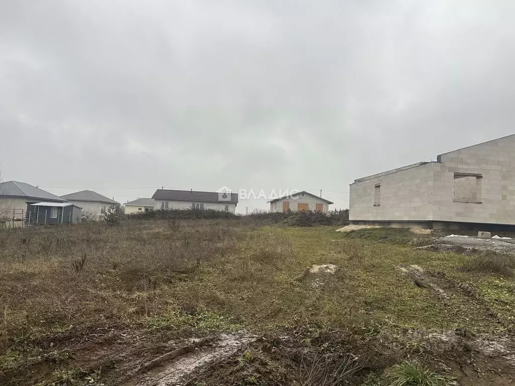 Участок в Владимирская область, Суздальский район, Новоалександровское ... - Фото 1