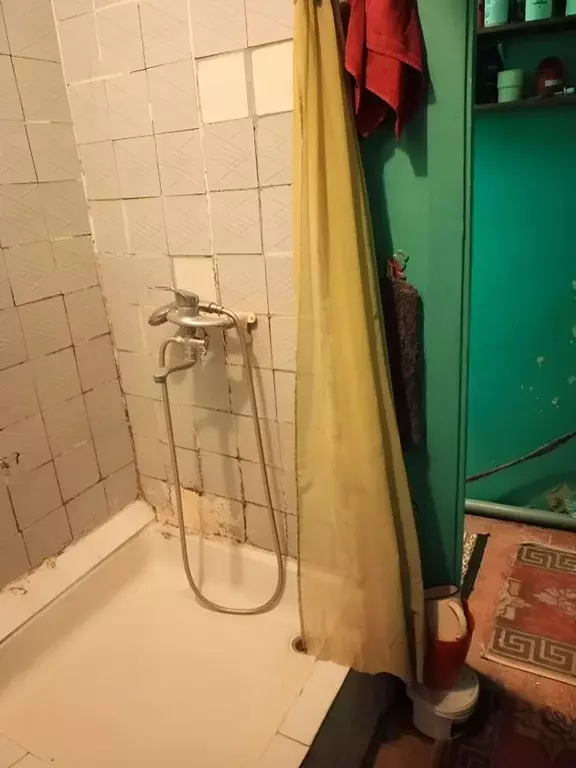 2-к кв. Новосибирская область, Искитимский район, Линево городское ... - Фото 2