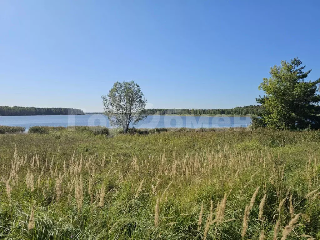 Продается участок в д. Сутоки - Фото 2