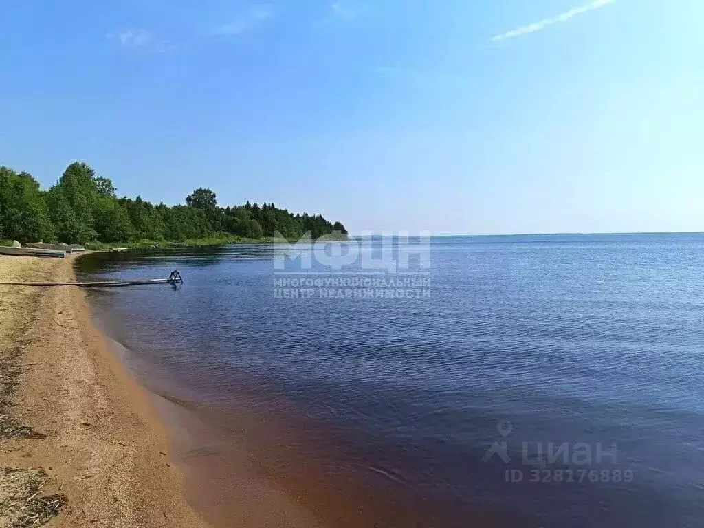 Участок в Карелия, Пряжинский район, Эссойльское с/пос, Рассвет СНТ 19 ... - Фото 1