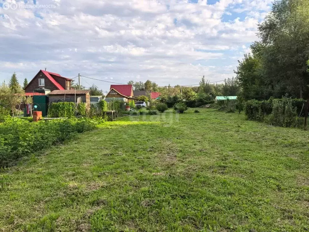 Участок в Колыванский район, садовое товарищество Калина красная (12 ... - Фото 1