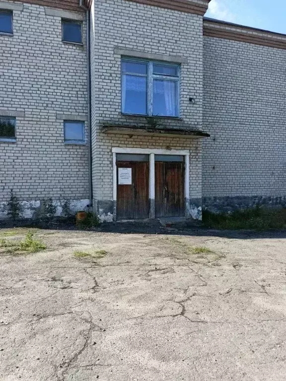 Помещение свободного назначения в Воронежская область, Эртильский ... - Фото 1