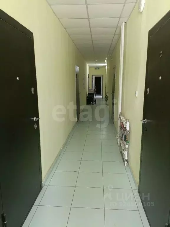 1-к кв. Белгородская область, Вейделевка рп ул. Мира, 67А (29.2 м) - Фото 1