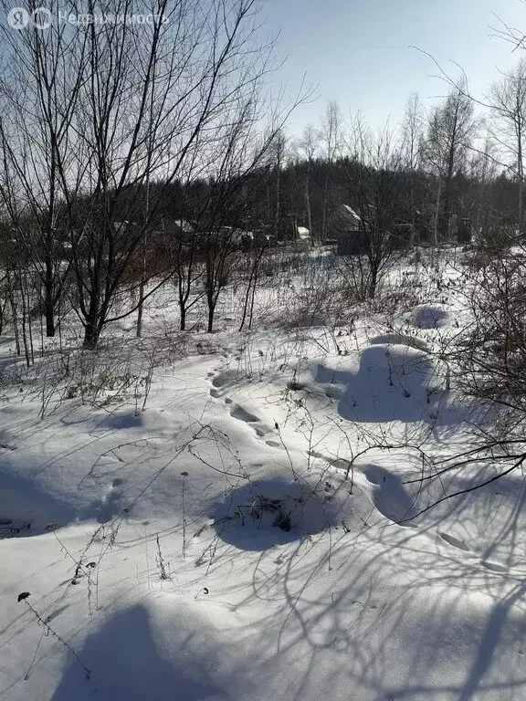 Участок в Комсомольск-на-Амуре, СНТ Энергетик (8 м) - Фото 1