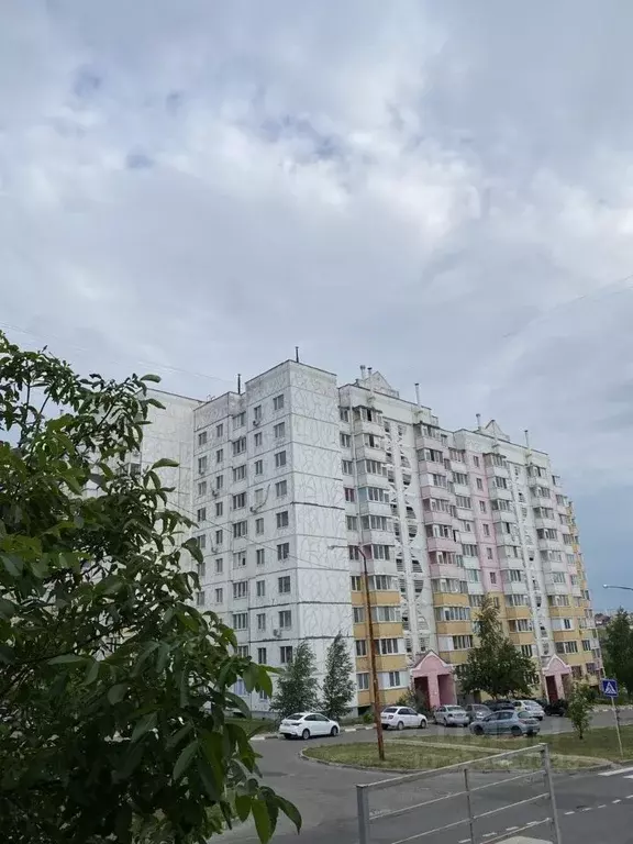 3-к кв. Белгородская область, Белгород ул. Есенина, 50 (66.0 м) - Фото 1