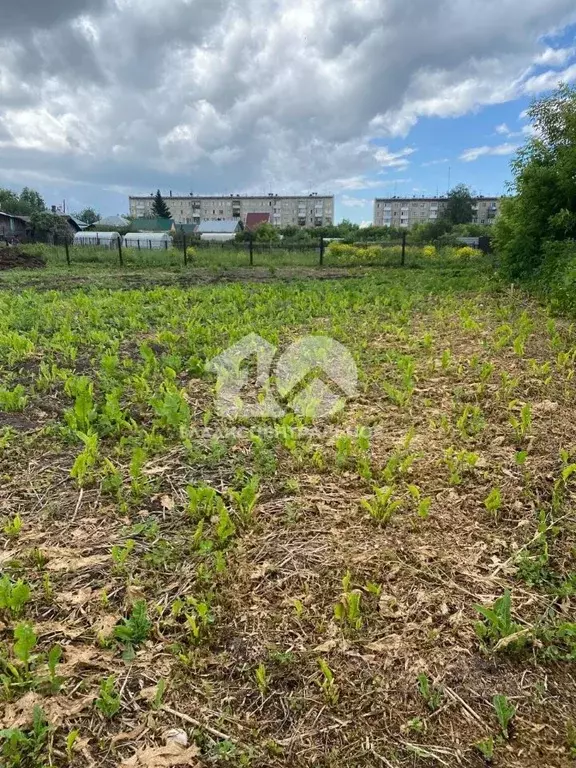 Участок в Новосибирская область, Новосибирский район, Станционный ... - Фото 0