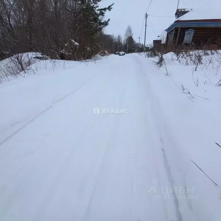 Участок в Владимирская область, Суздальский район, Павловское ... - Фото 1