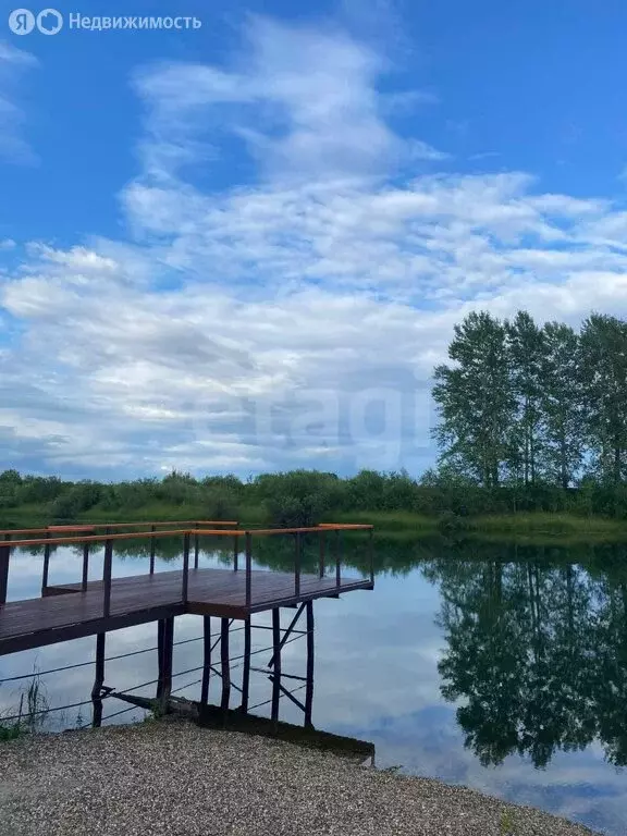 Участок в Колыванский район, ДНТ Сибирская Волость, Центральная улица ... - Фото 0