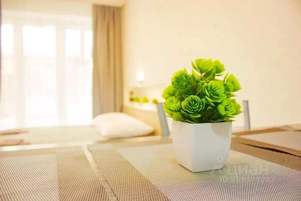 1-к кв. Краснодарский край, Туапсинский муниципальный округ, с. Шепси ... - Фото 2