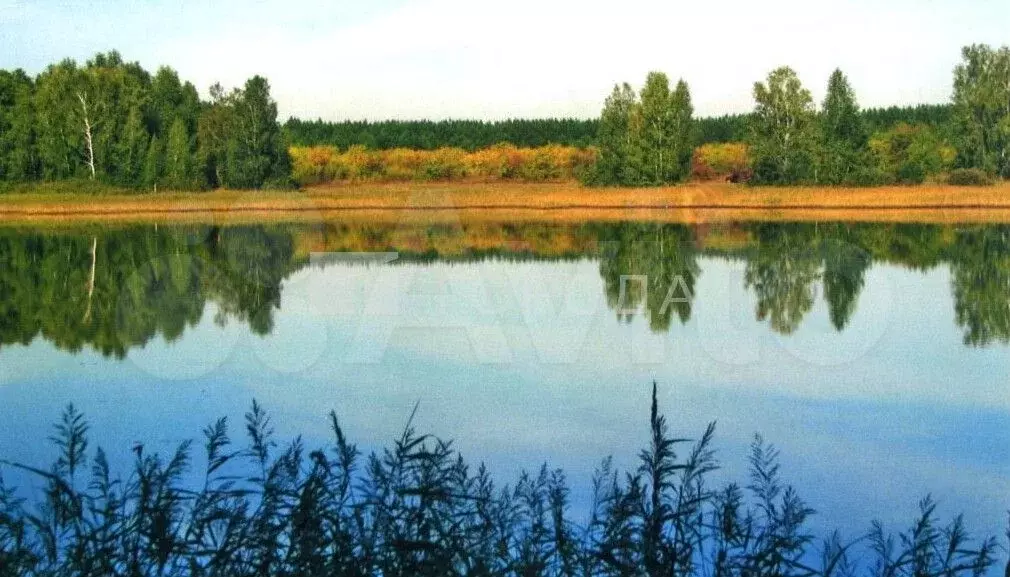 Участок 437 га (СНТ, ДНП) - Фото 0