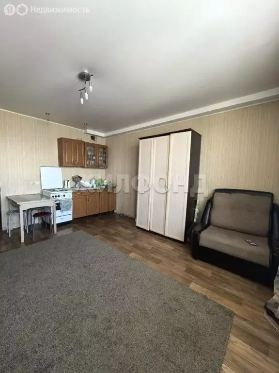 Квартира-студия: Новосибирск, улица Виктора Уса, 9 (25.1 м) - Фото 2