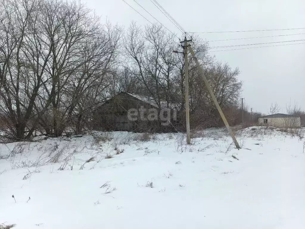 Склад в Белгородская область, Ивнянский муниципальный округ, с. ... - Фото 1