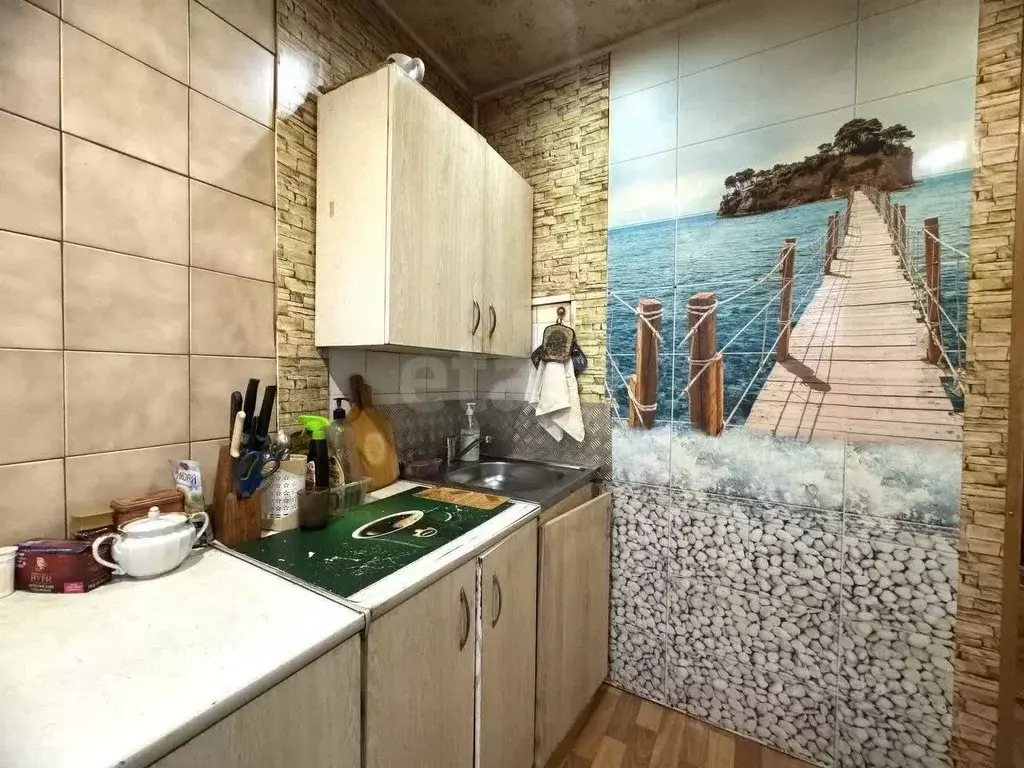 1-к кв. Московская область, Ногинск Богородский городской округ, ул. ... - Фото 2