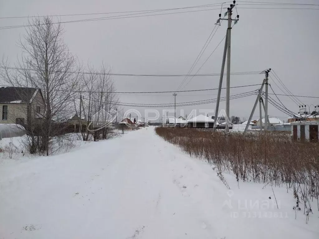 Участок в Тюменская область, Тюменский район, д. Криводанова, Станица ... - Фото 1