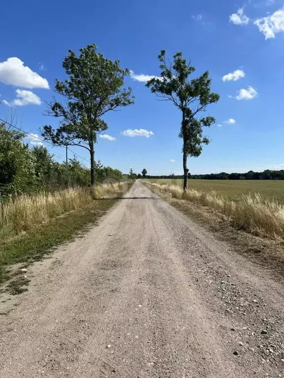 Участок в Калининградская область, Зеленоградский муниципальный округ, ... - Фото 1