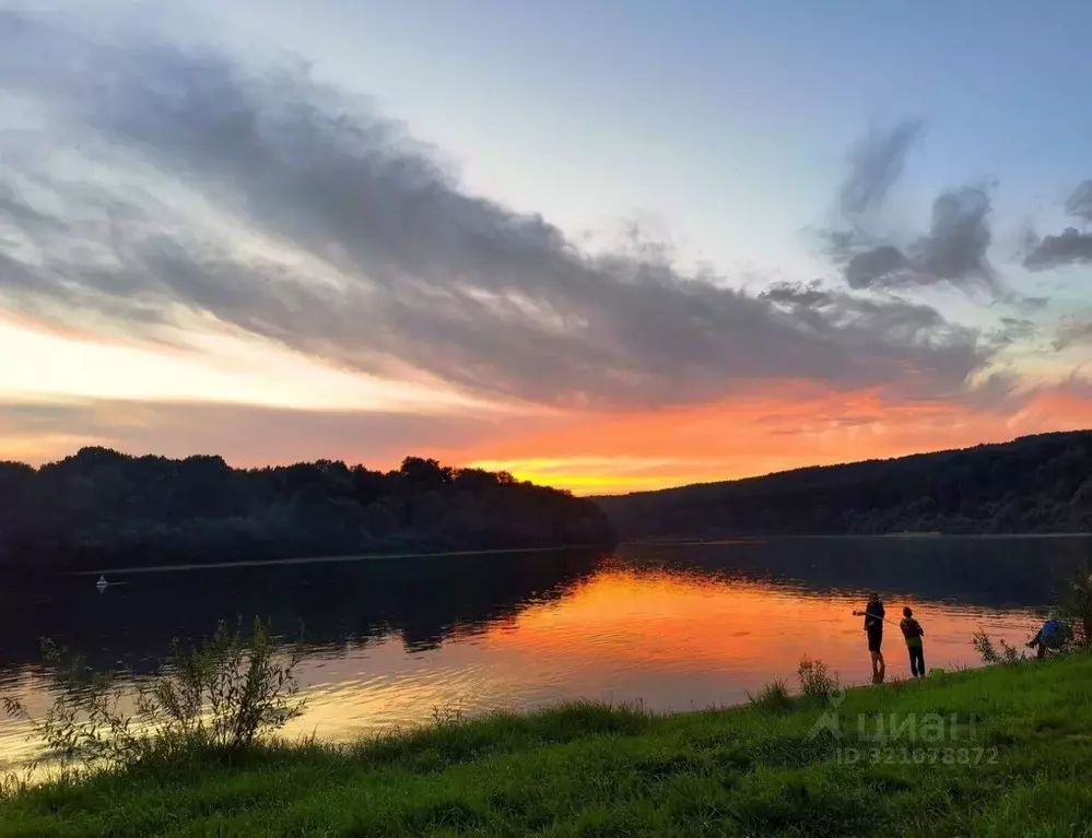 Участок в Тульская область, Ясногорский район, Иваньковское с/пос, д. ... - Фото 1