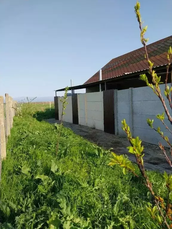 Студия Крым, Ленинский район, Белинское с/пос, с. Золотое ул. Прямая, ... - Фото 2