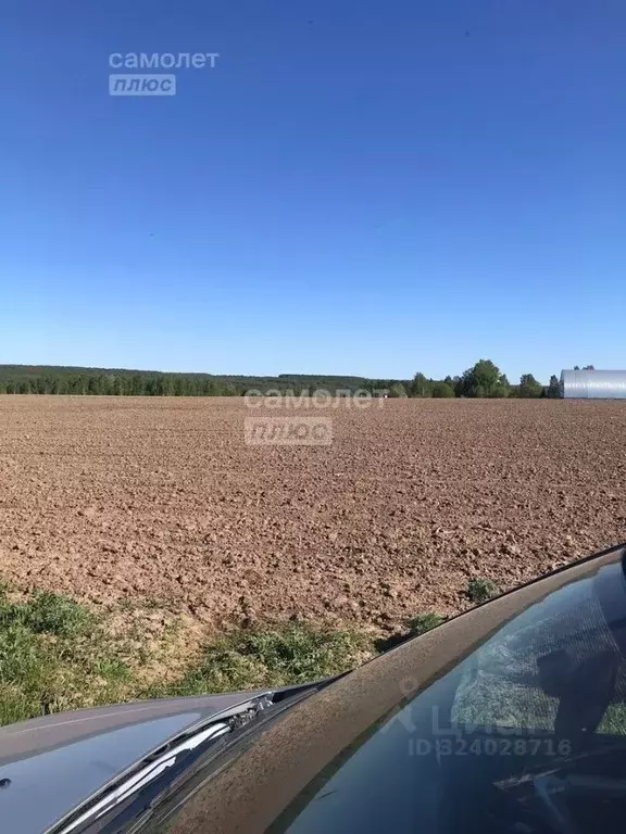 Участок в Марий Эл, Горномарийский район, Кузнецовское с/пос, д. ... - Фото 1