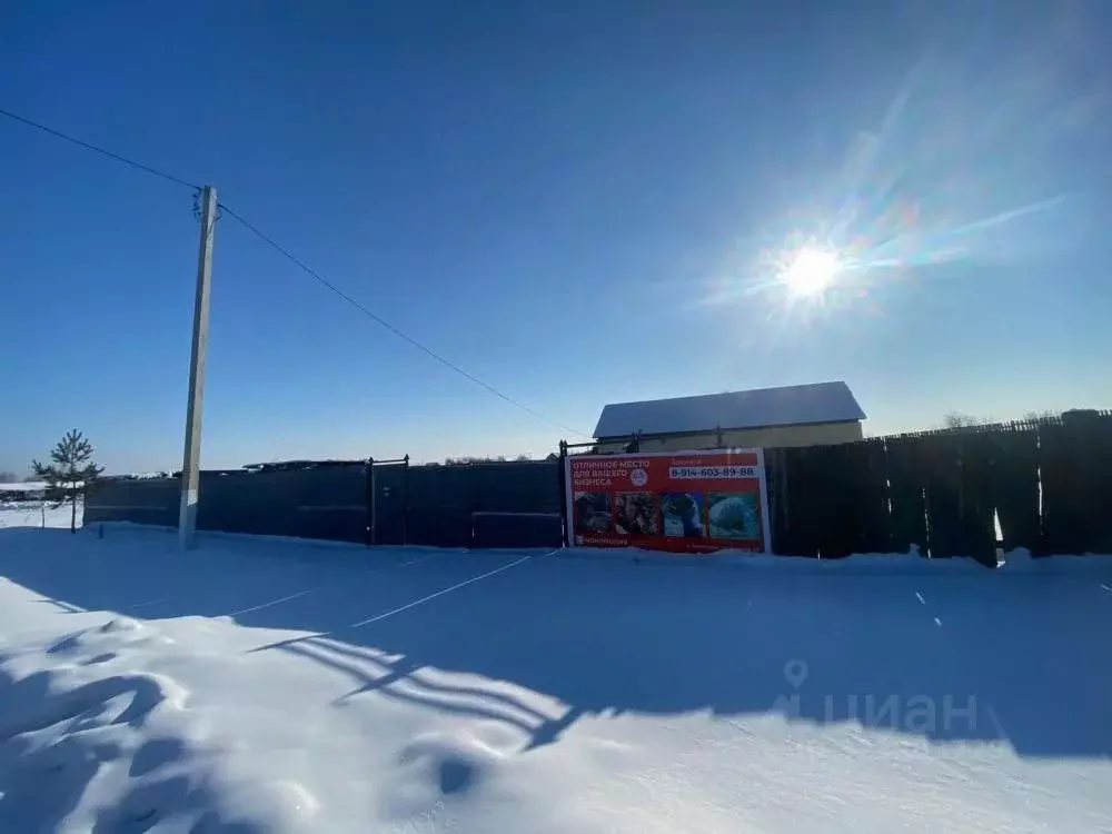 Дом в Амурская область, Серышевский муниципальный округ, с. Белогорка ... - Фото 1