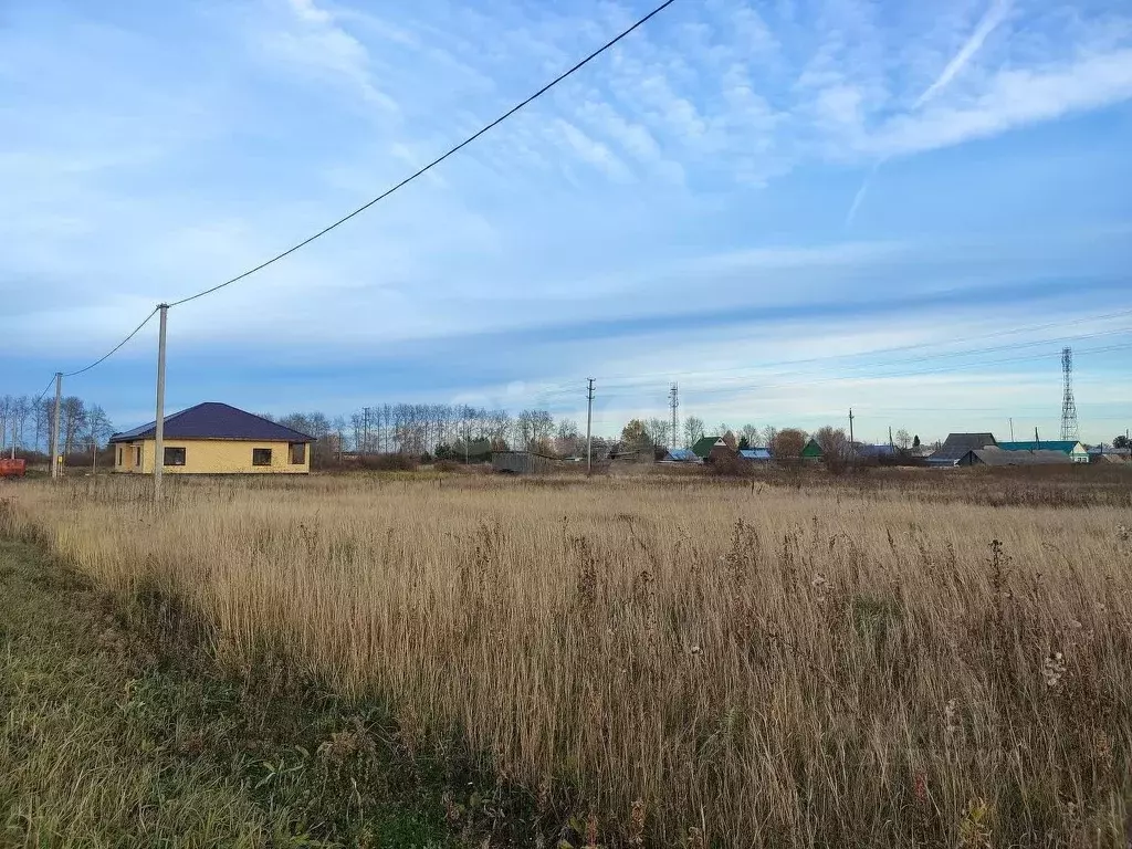 Участок в Тюменская область, Ярковский муниципальный округ, с. ... - Фото 1