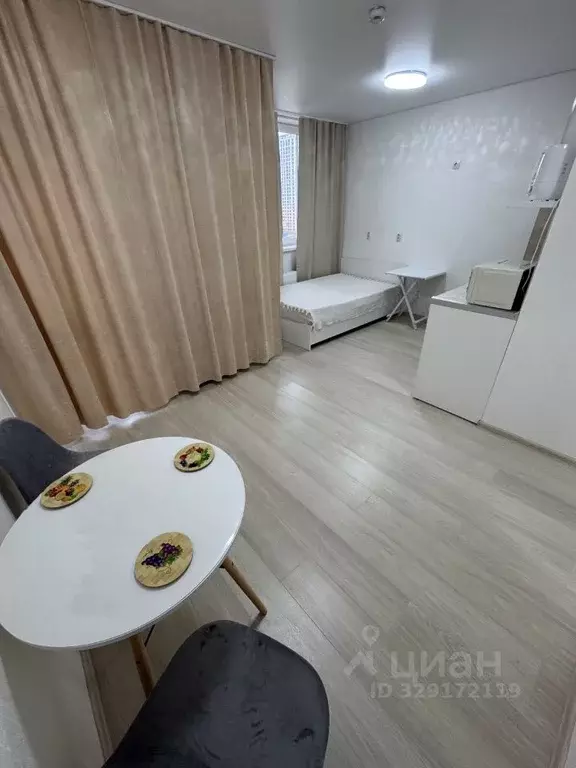 Студия Свердловская область, Екатеринбург ул. Тенистая, 8В (27.0 м) - Фото 2