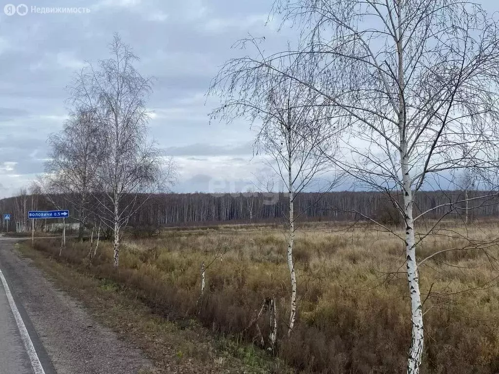 Участок в Московская область, городской округ Коломна, деревня ... - Фото 0