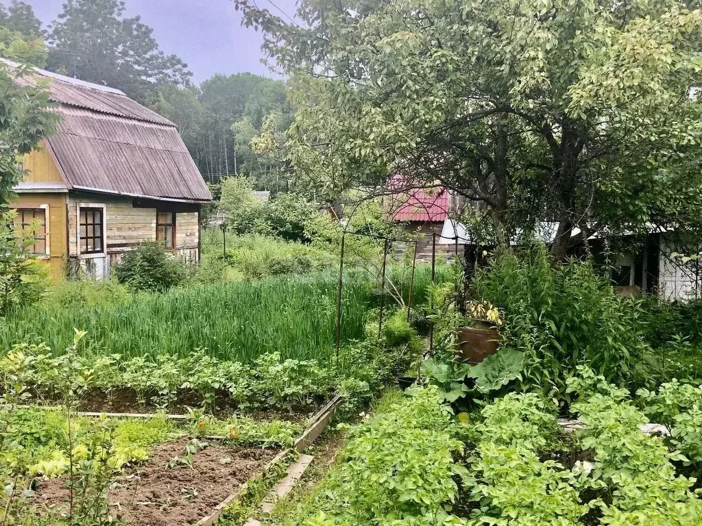 Хабаровский Край Купить Дом Недорого