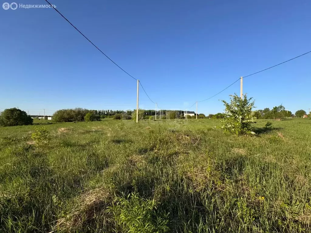 Участок в Республика Мордовия, городской округ Саранск, посёлок ... - Фото 2