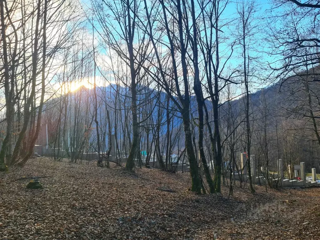 Участок в Краснодарский край, Сочи городской округ, Красная Поляна ... - Фото 0