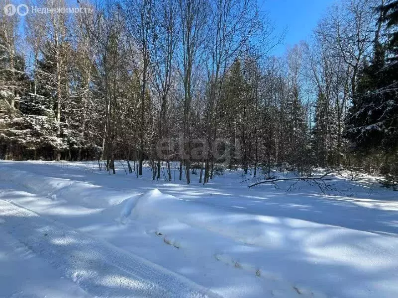 Дом в деревня Канищево, 2-я Клубничная улица (90 м) - Фото 1