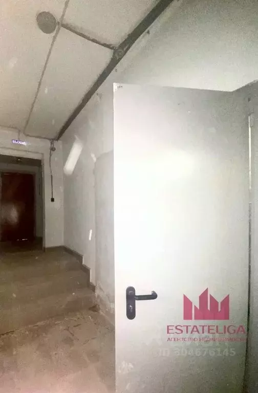 Помещение свободного назначения в Московская область, Видное ул. ... - Фото 2