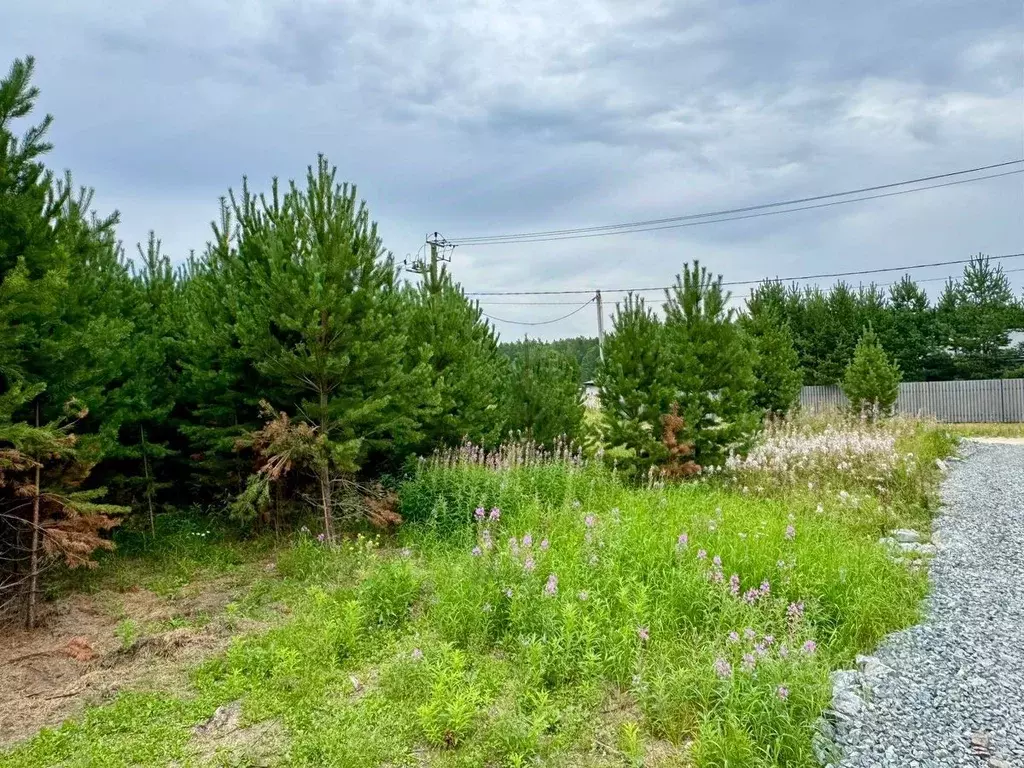 Участок в Свердловская область, Полевской муниципальный округ, с. ... - Фото 2