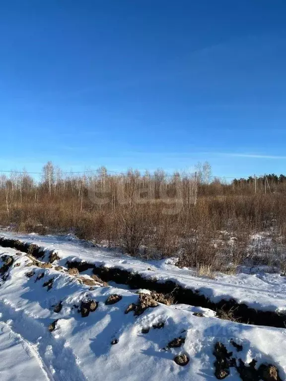 Участок в Амурская область, Благовещенский район, Станичное тер.  ... - Фото 0