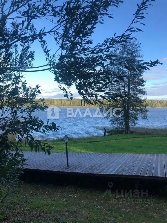 Участок в Ленинградская область, Выборгский район, Приморское ... - Фото 2