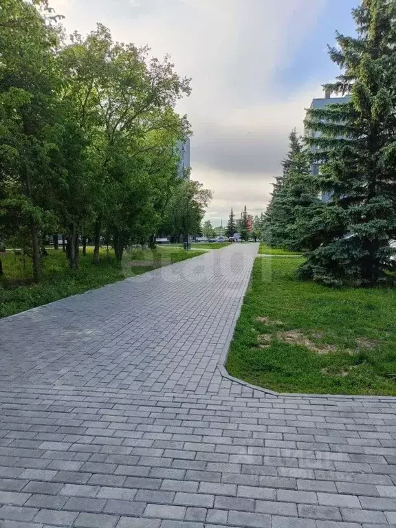 1-к кв. Челябинская область, Челябинск ул. Блюхера, 123К (34.0 м) - Фото 2