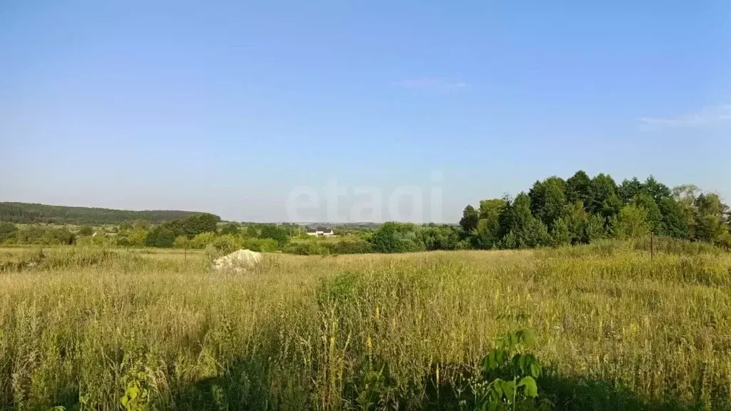 Участок в Мордовия, Лямбирский район, Пензятское с/пос, с. Пензятка  ... - Фото 2