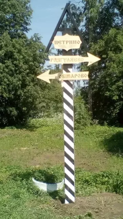 Участок в Вологодская область, Череповецкий район, д. Петрино  (25.0 ... - Фото 1