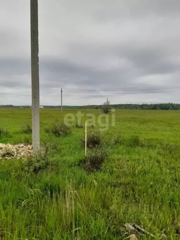 Участок в Курганская область, Кетовский муниципальный округ, с. ... - Фото 1