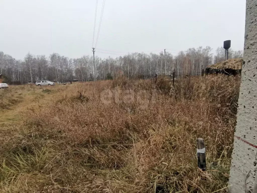 Участок в Новосибирская область, Ордынское рп ул. Западная (10.0 сот.) - Фото 1