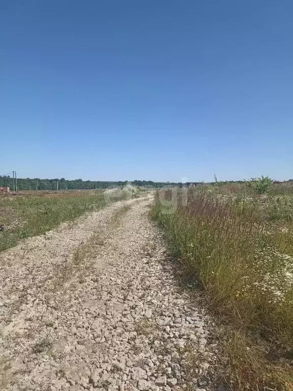 Участок в Татарстан, Верхнеуслонский район, Набережно-Морквашское ... - Фото 1