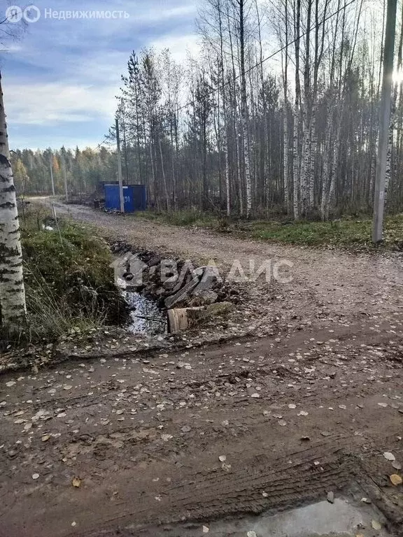 Участок в Ленинградская область, Всеволожское городское поселение, ... - Фото 0